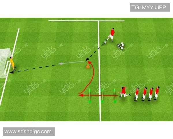 足球明星进球区域排名分析图揭示射门热区与得分效率的关系