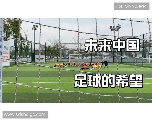 足球明星西瓜的精彩瞬间与成长历程全解析图片展示